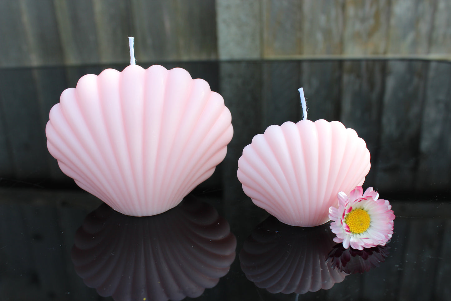 Soy pillar candles - Shells