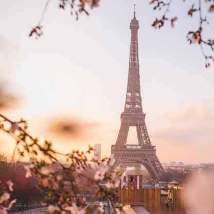 Soy wax melts - Paris at Night